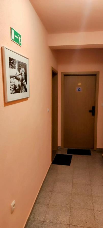 Villa Dm Baška Voda Dış mekan fotoğraf