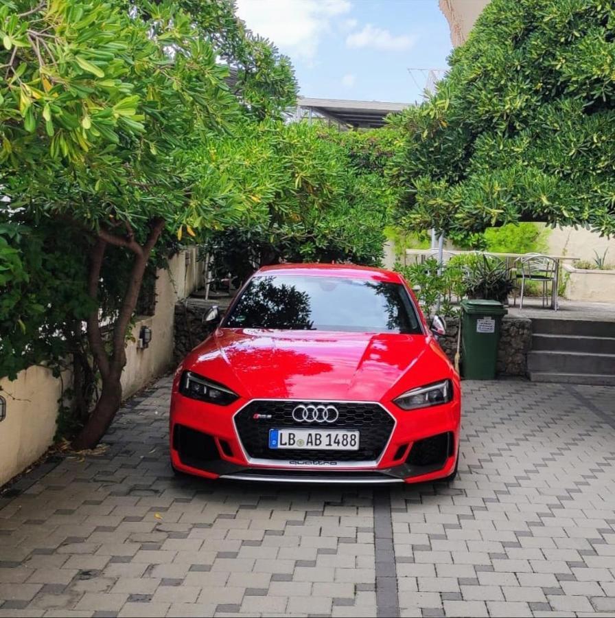 Villa Dm Baška Voda Dış mekan fotoğraf